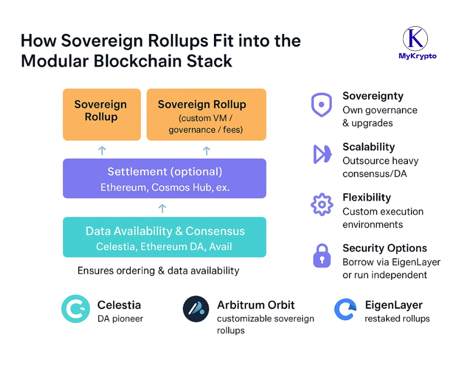Modular Blockchain